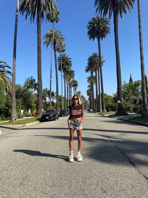 T-shirt ODLC SOX Noir